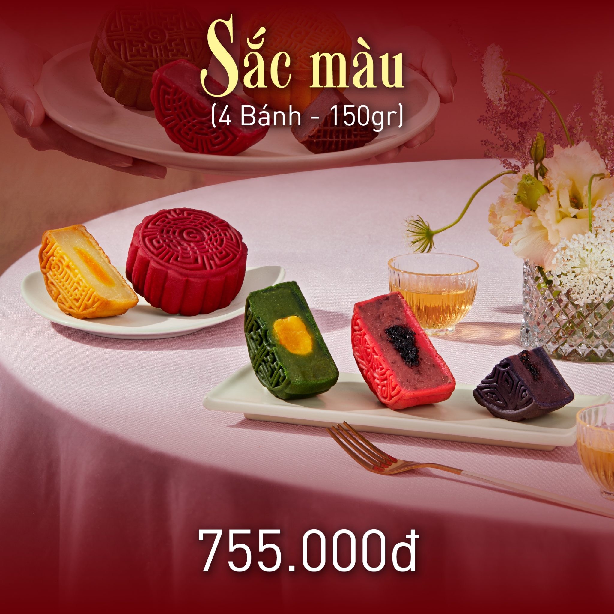 Combo Sắc màu