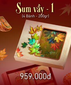 Combo Sum vầy 1