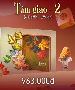 Combo Tâm giao 2